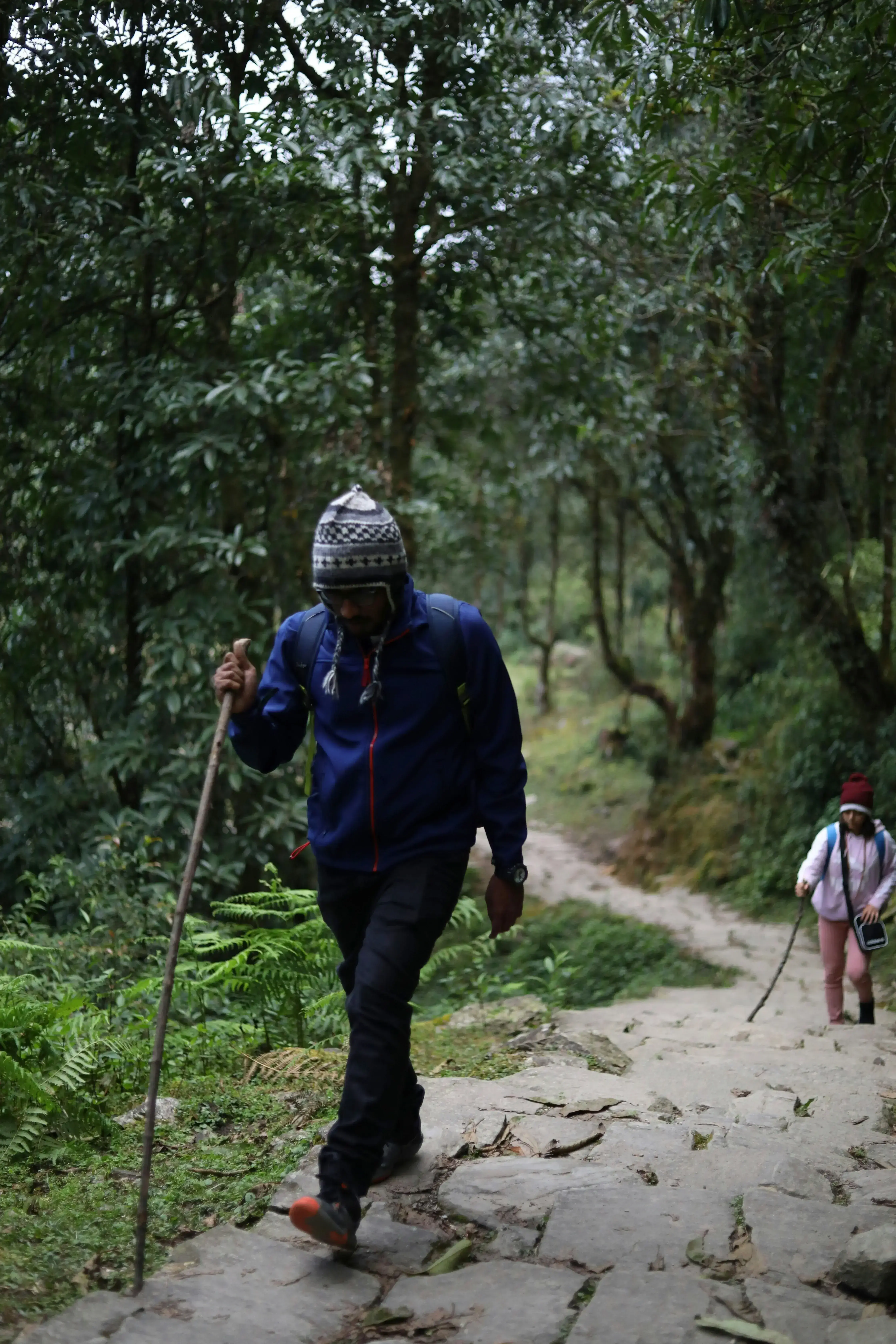 Hiking in Nepal 