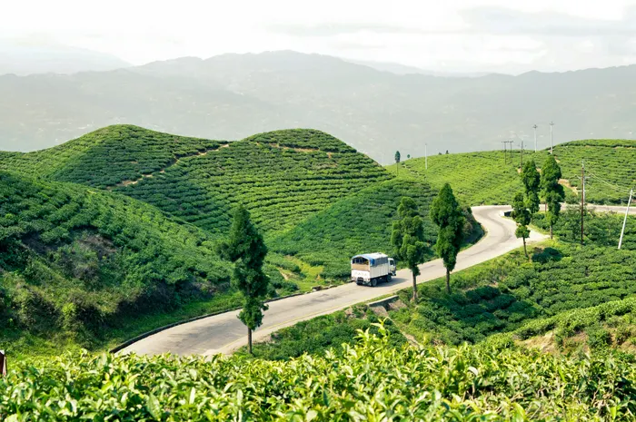 Jardines de té, lagos sagrados, amaneceres en el Himalaya y encuentros culturales.