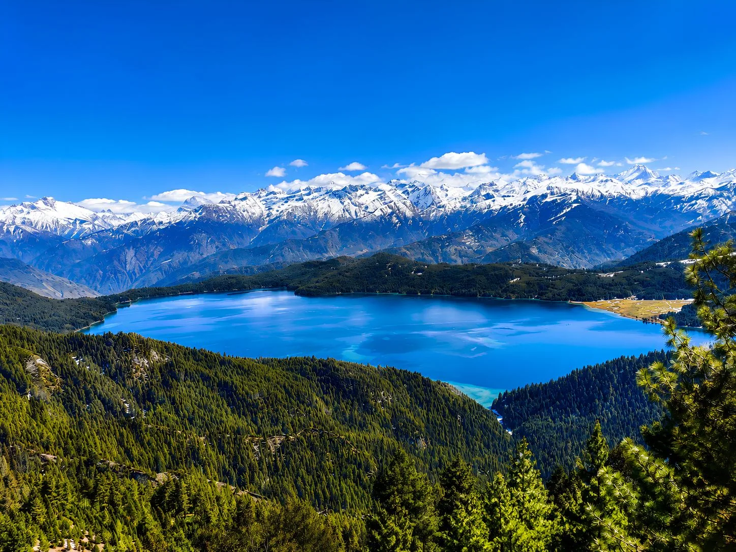 Rara