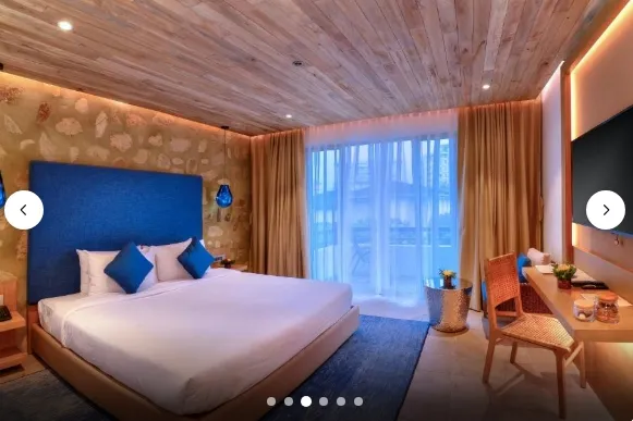 Superior Deluxe Double or Twin Room