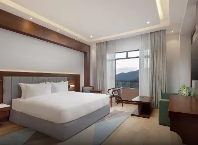 Premium King Room