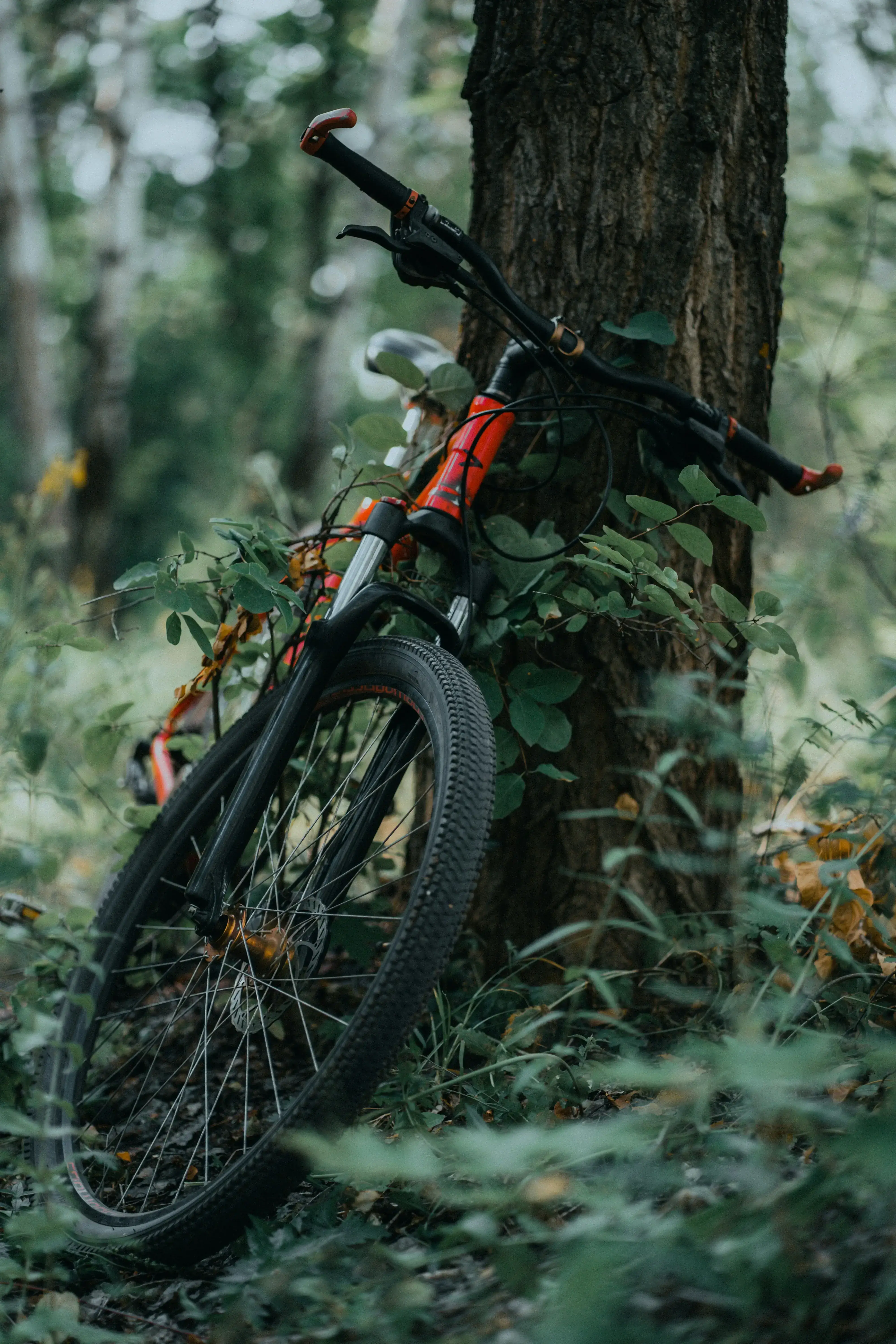 Kathmandu: Swayambhunath Temples & Scenic Hilltops Bike Tour