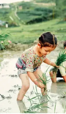 Kathmandu: Paddy Planting Festival with Lunch & Hike